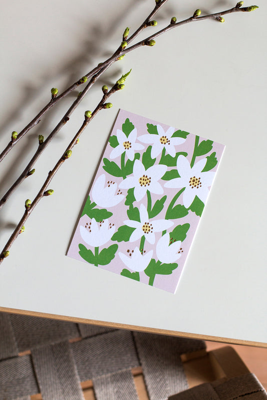 Valkovuokot postcard on a table