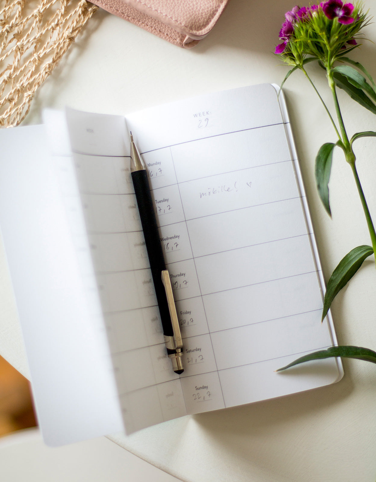 Ahvenvita planner in use